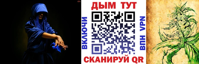 купить  цена  Клин  Бошки марихуана семена 